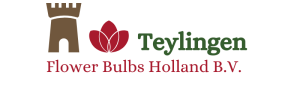 Teylingen Flowerbulbs Holland