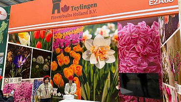 teylingen at ipm beijing
