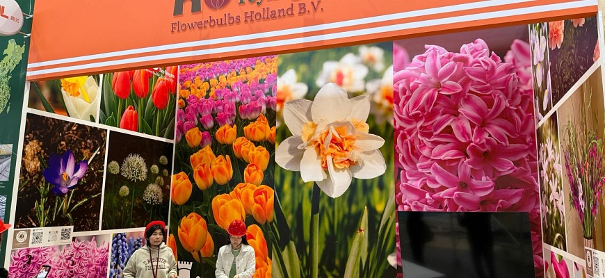 teylingen at ipm beijing